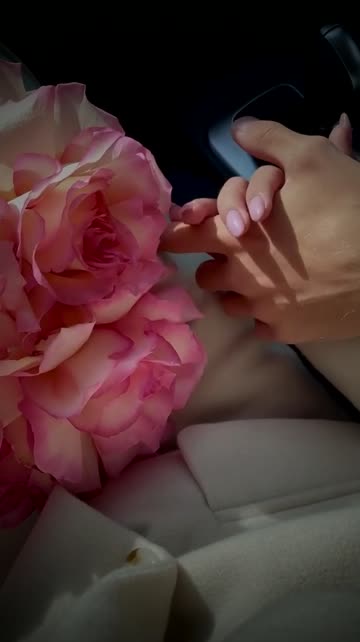 Aesthetic Pink VidsKit